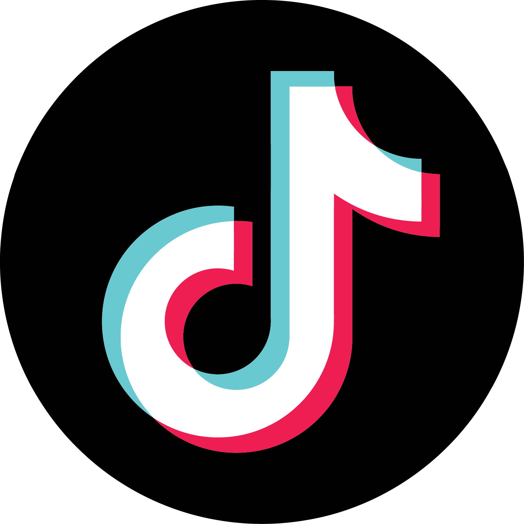 Tik Tok Icon